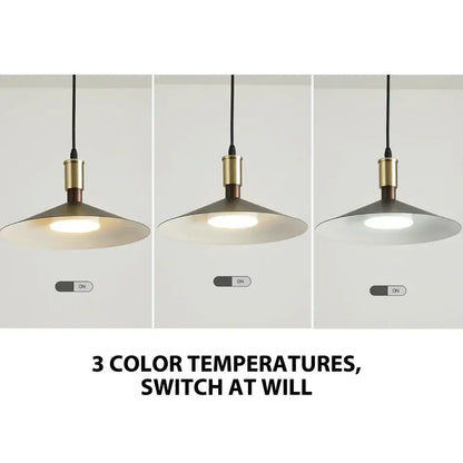 Minimalist gray and brass decorbites dimming pendant light with matte black shade and adjustable color temperatures for dining room