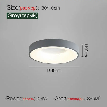 Minimalist gray round ceiling lamp with sleek modern design and 30cm diameter for round dining room lighting