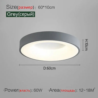 Minimalist gray round dining room ceiling lamp with modern grey circular design and frosted glass diffuser ceiling lamp