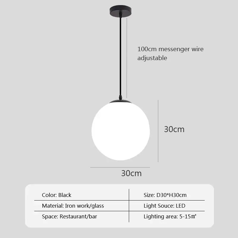 Black spherical glass ball pendant light with matte iron frame and frosted globe featuring led bulb for modern decorbites pendant lights