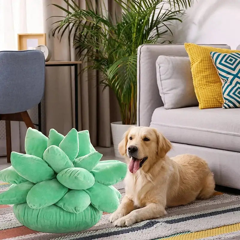 Mint green 3d plush succulent cactus pillow perfect for living room decor with soft fabric and detailed design