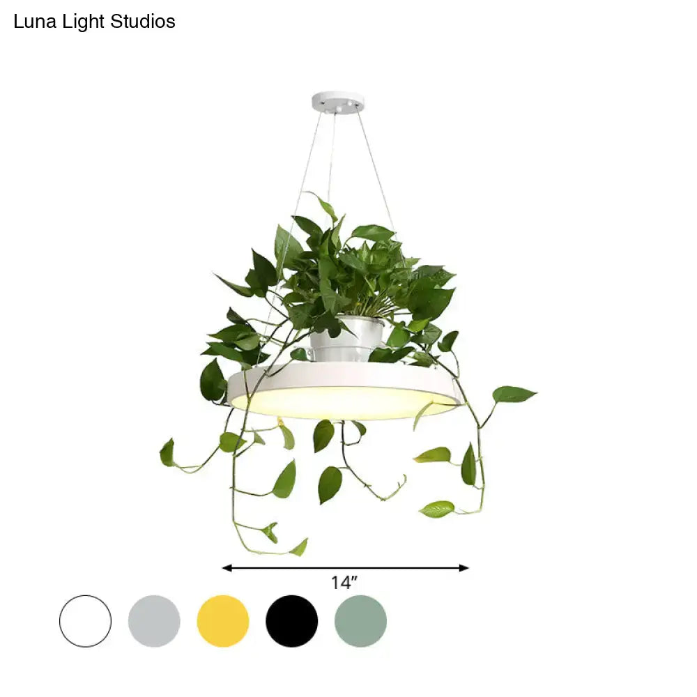 White acrylic brooklyn round macaron pendant light with integrated plant pot and trailing green vines hanging fixture