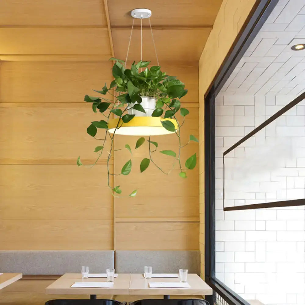 Yellow circular acrylic led pendant light with hanging green plant pot from DecorBites brooklyn round macaron series