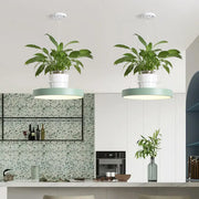 DecorBites™ Brooklyn round macaron LED pendant light in mint green acrylic with white planters holding lush foliage