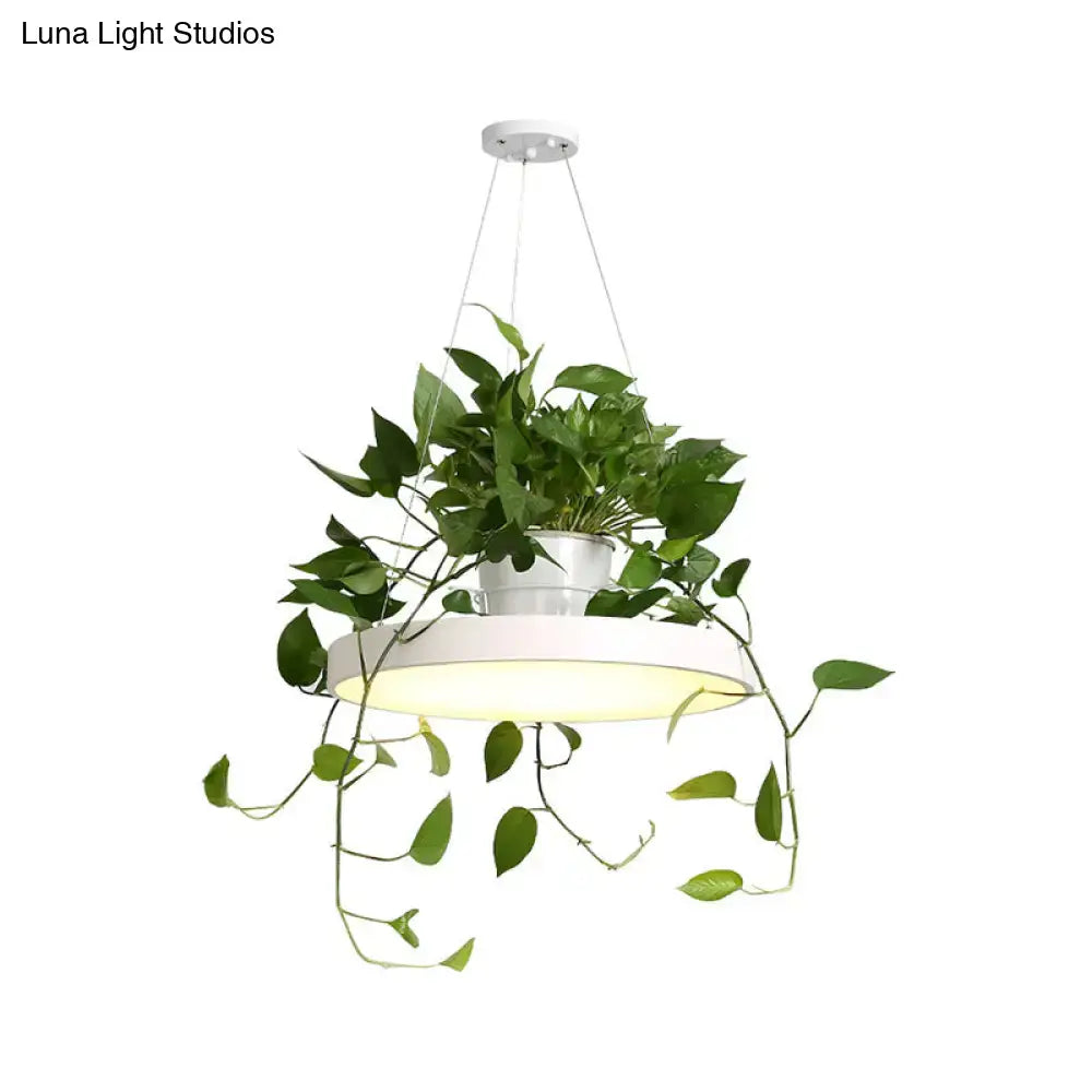White round macaron round led pendant light with integrated plant holder and trailing green vines by decorbites brooklyn