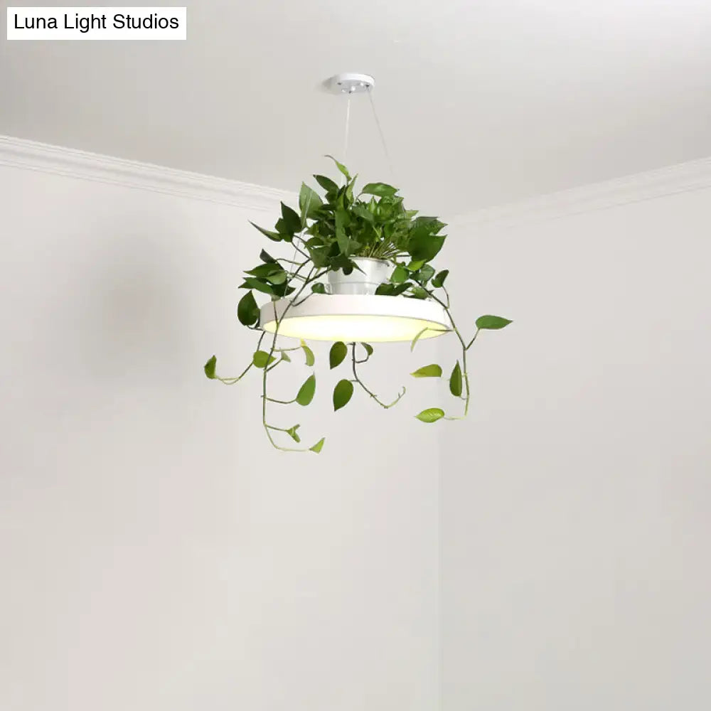White acrylic brooklyn round macaron pendant light with integrated plant holder and trailing green vines