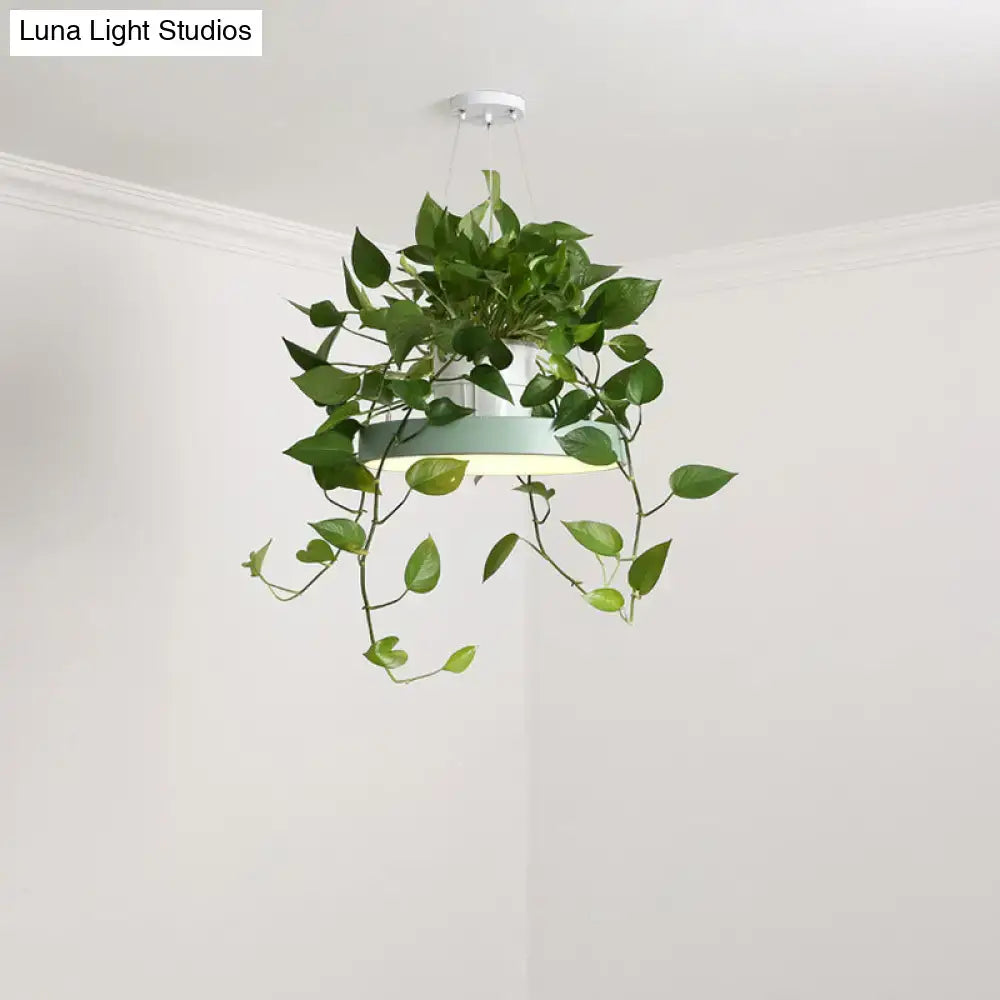 Decorbites brooklyn round macaron mint green acrylic pendant light with white mount and ivy plant pot