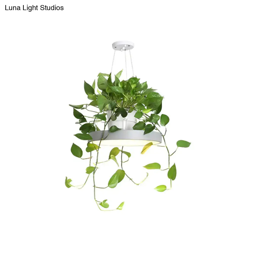 White brooklyn round macaron acrylic led pendant light with integrated plant pot and trailing green foliage