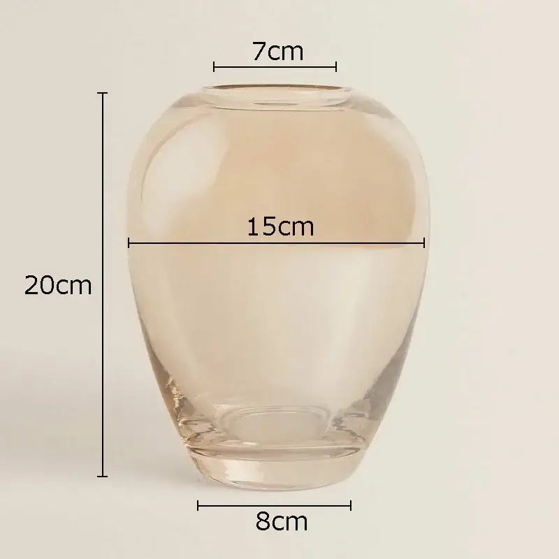 Modern amber glass vase with a clear glass transparent rounded body and narrow neck for living room decorbites decor