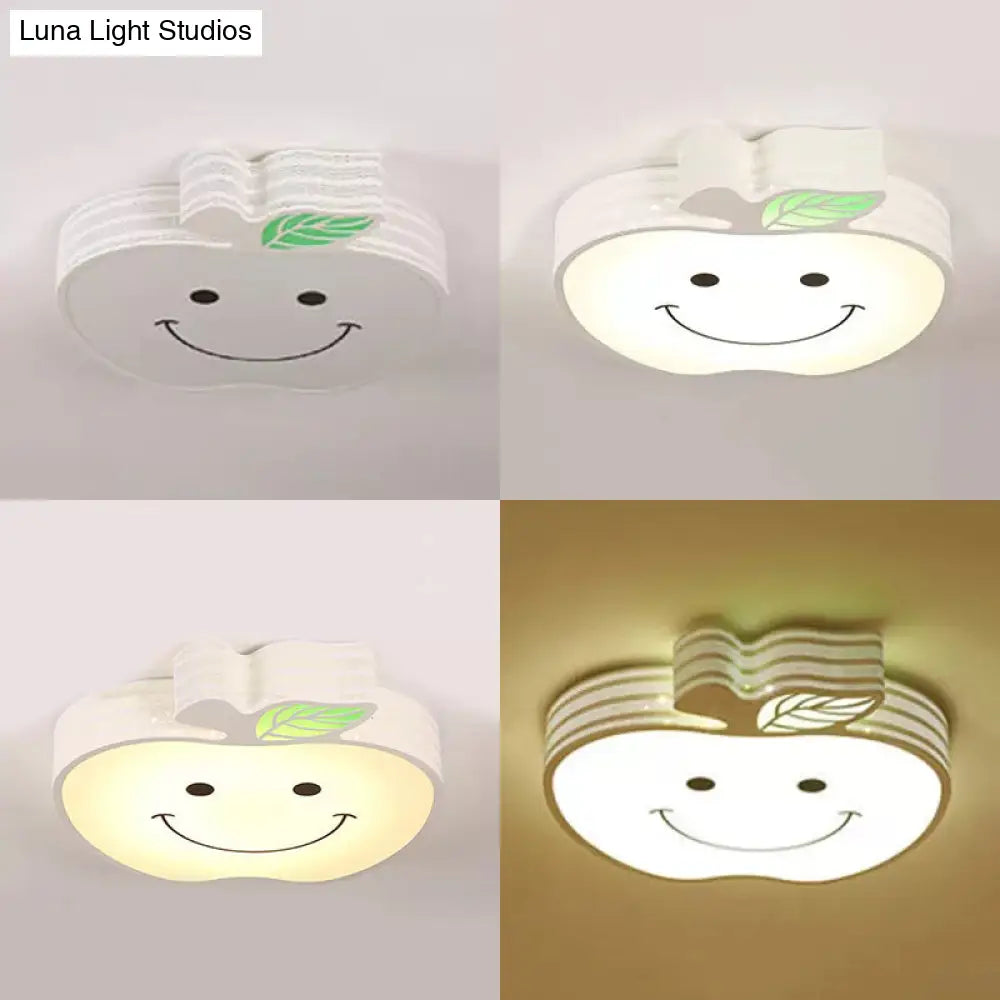 DecorBites™ DecorBites™ Modern Apple Flush Mount Light: Acrylic Metal Nordic Style Ceiling Fixture for Living Rooms