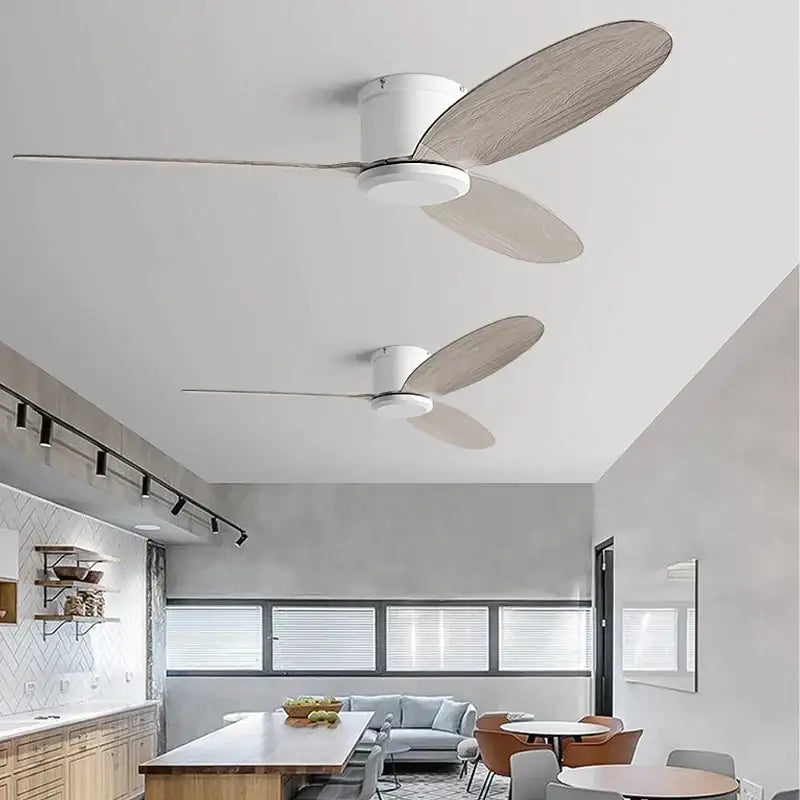Modern black and brown ceiling fan with remote control featuring sleek white motor and light wood-toned oval blades decorbites black modern