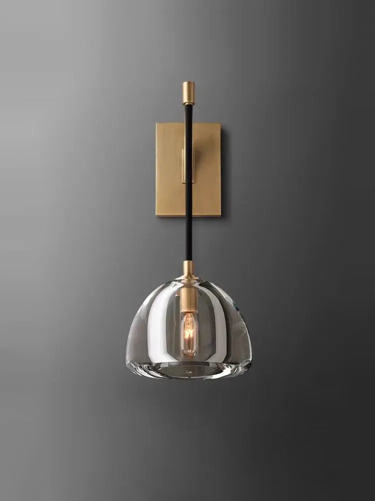 Modern black brass american series wall sconce with brushed brass square backplate and clear glass dome bulb decorbites black brass