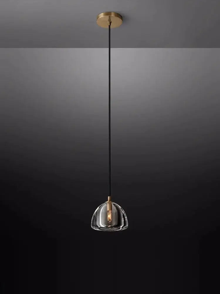 A sleek modern pendant light with clear glass dome and brass accents from the black brass american series by decorbites