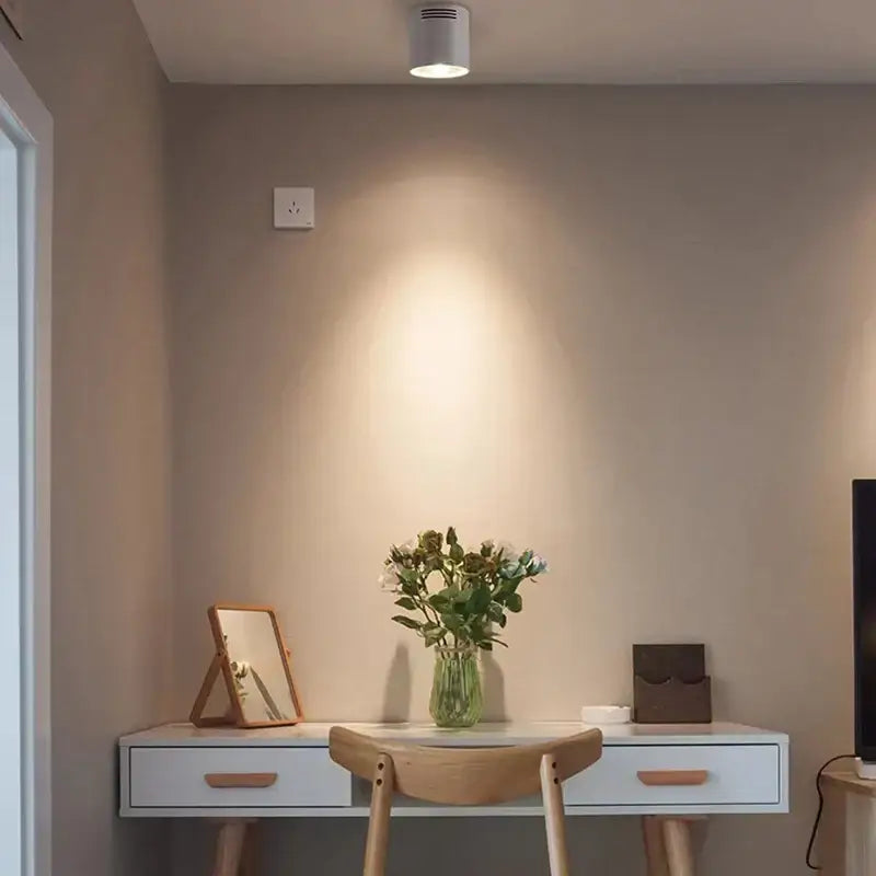A modern black cylindrical pendant ceiling spot light illuminating a clear glass vase with greenery and white flowers