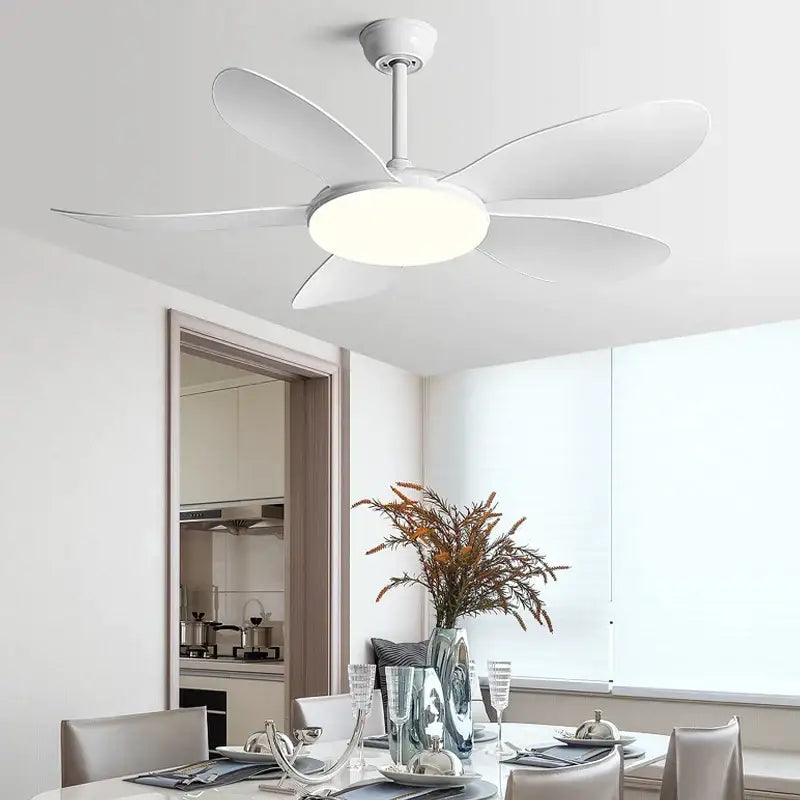 Modern black dc ceiling fan light featuring a white ceiling fan with five sleek blades and integrated circular light fixture