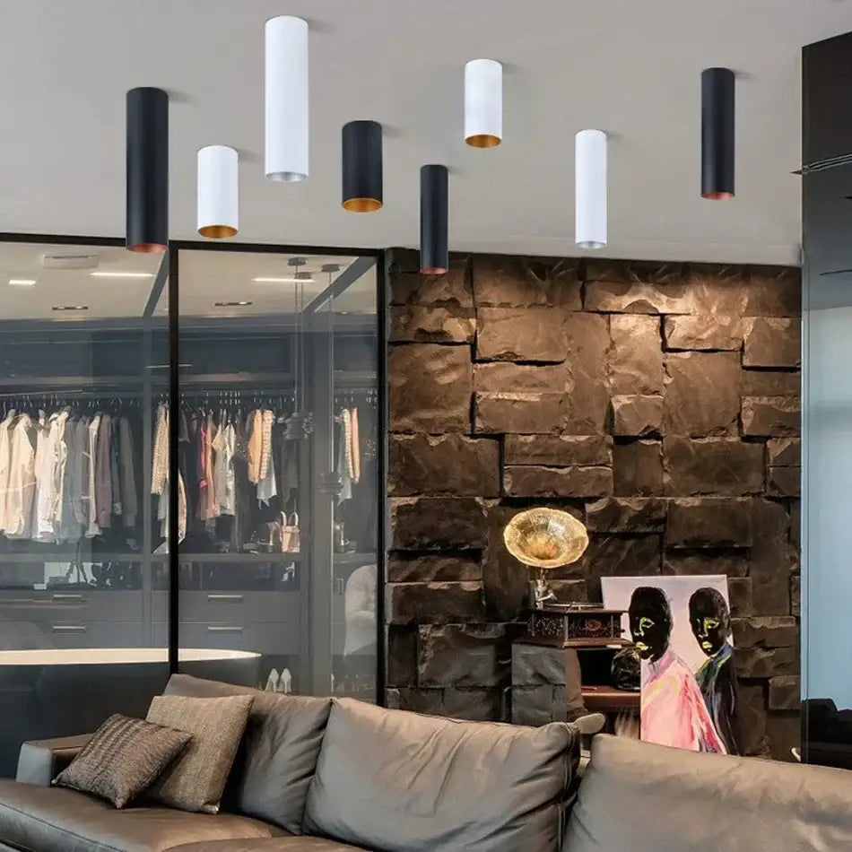 Modern black and gold cylindrical dimmable led downlight for living room ceiling with sleek metal accents