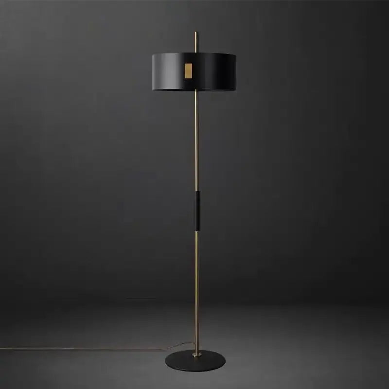 Modern black and gold floor lamp with slender brass pole and decorbites black metal e27 shade for living room decor