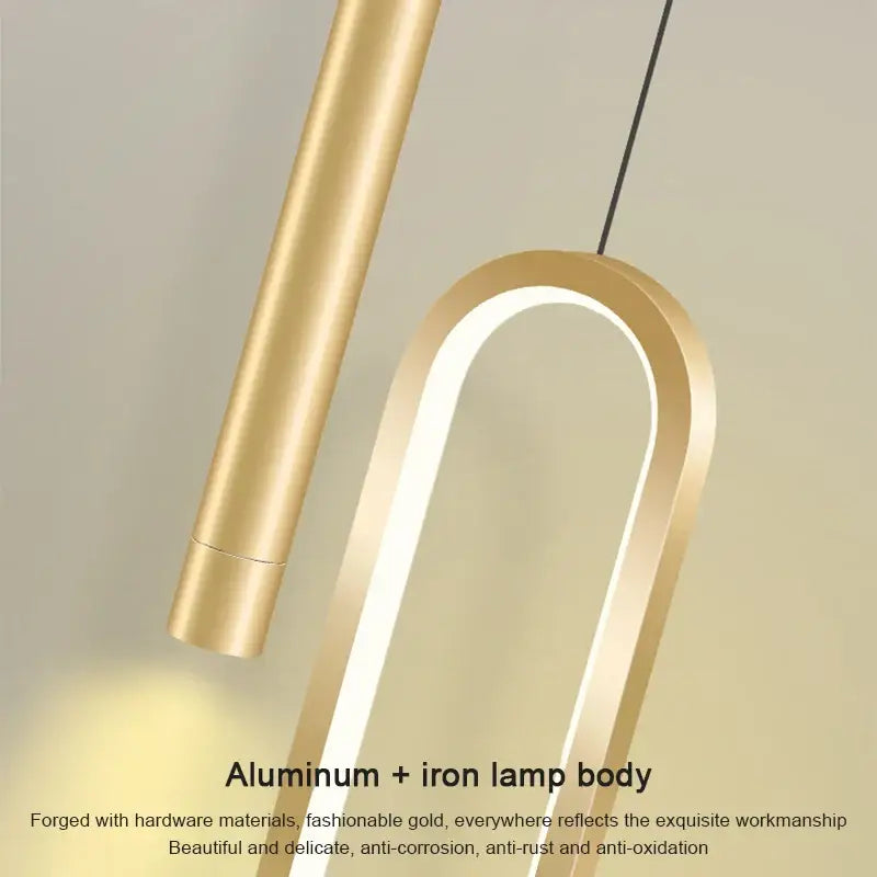 Modern black and gold oval pendant light with curved aluminum and iron frame and white led light source