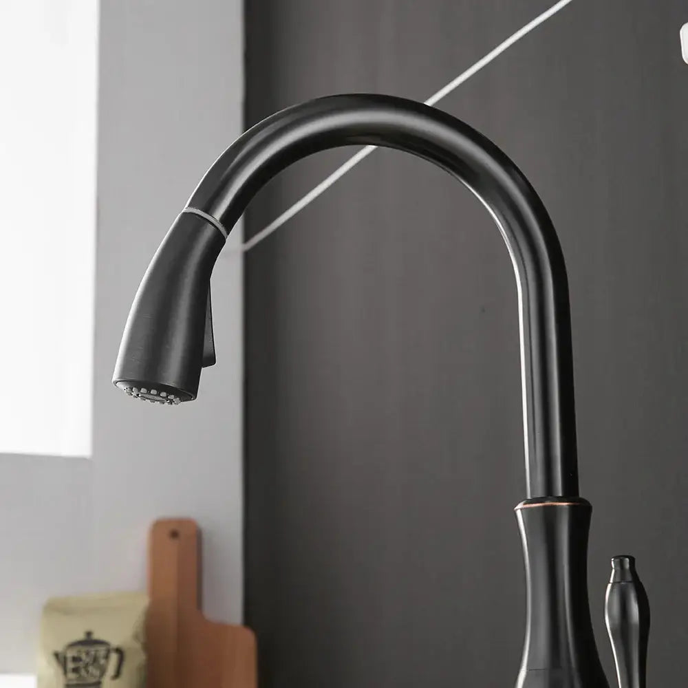 Modern black single handle kitchen faucet with curved swivel spout and pull-down spray head by decorbites black single