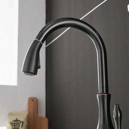 Modern black single handle kitchen faucet with curved swivel spout and pull-down spray head by decorbites black single