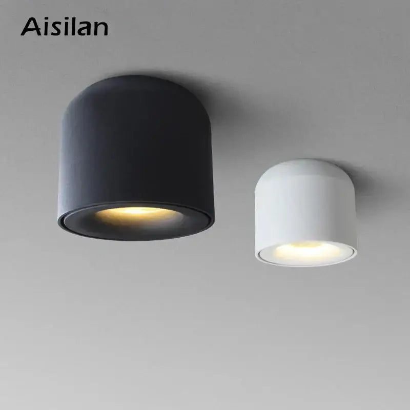 Aisilan modern black surface mount ceiling light with matte black and white cylindrical design for hallway illumination