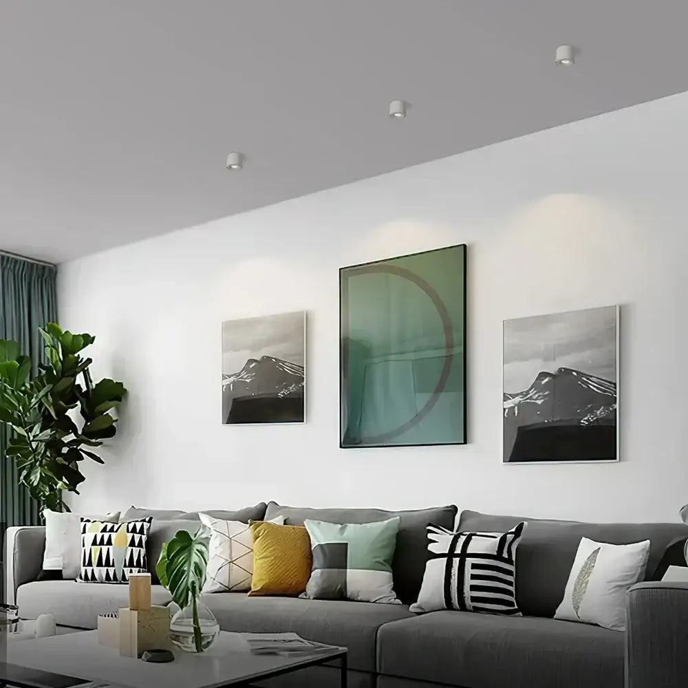 Modern black surface mount ceiling light with sleek white minimalist recessed fixtures ideal for hallways