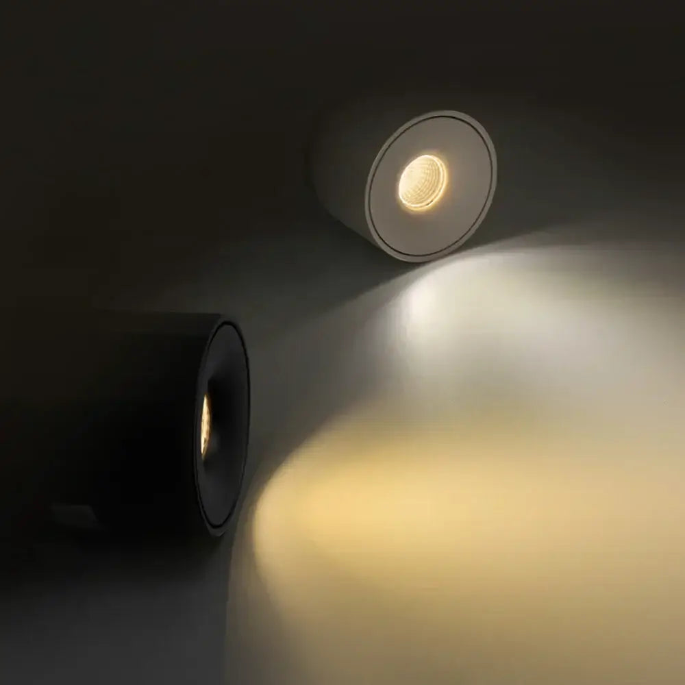 Modern black surface mount ceiling light with sleek circular design and warm white led for hallway illumination