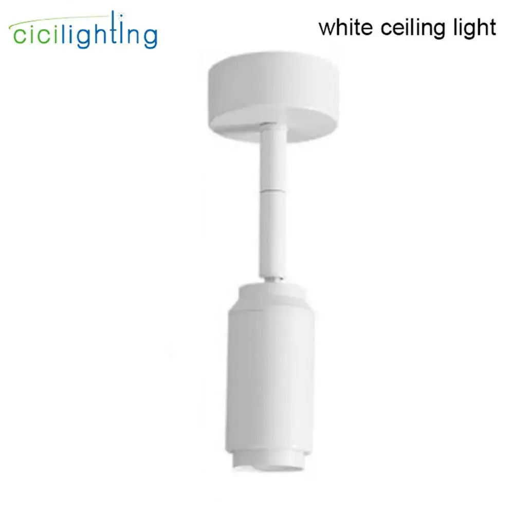 White cylindrical ceiling light with sleek matte finish and adjustable beam angle black and white track spotlight