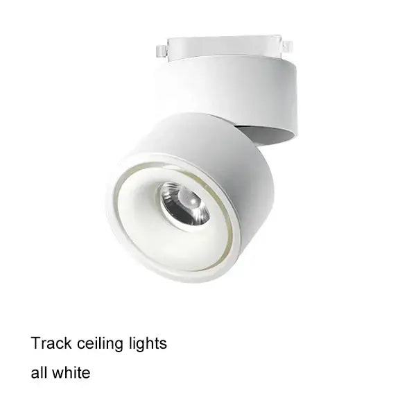 Modern black and white decorbites cob led ceiling spot light with sleek cylindrical design and matte white finish for living room