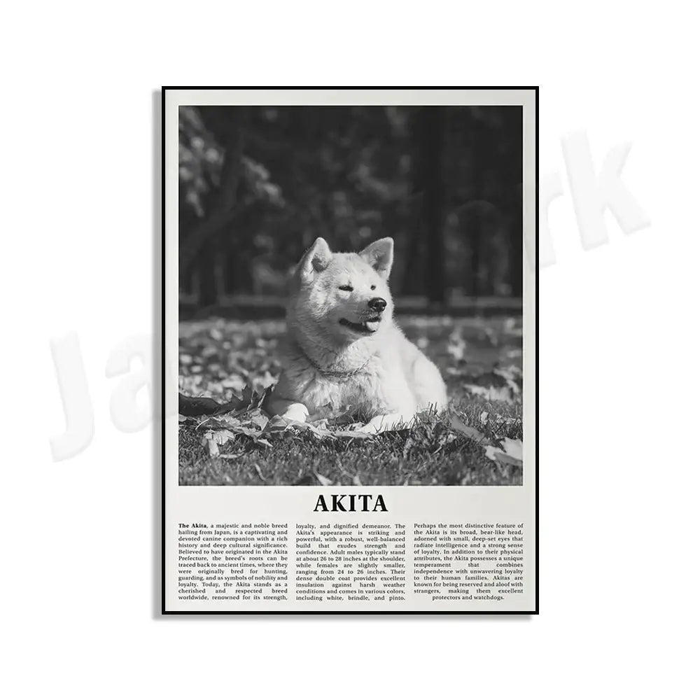 Black and white dog breeds poster featuring two akita dogs with bold serif typography for living room wall art