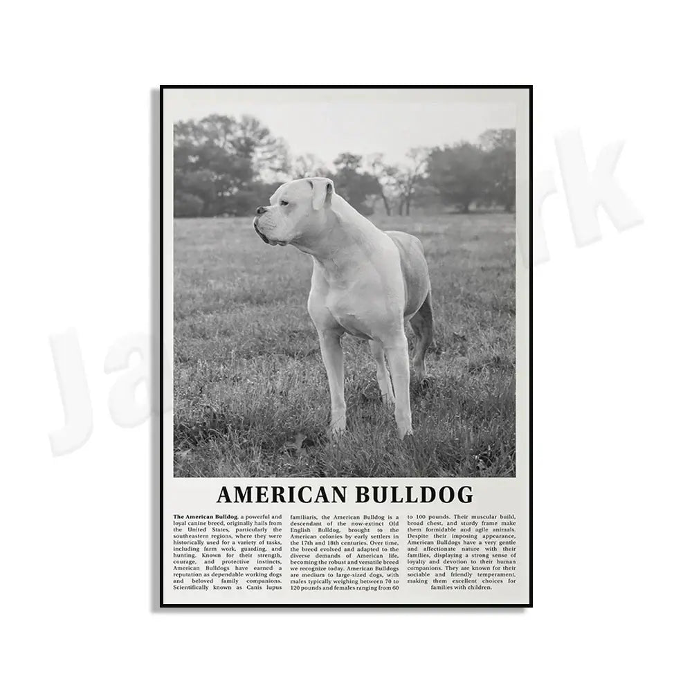 Black-and-white dog breeds poster featuring a muscular american bulldog on matte paper for living room wall art