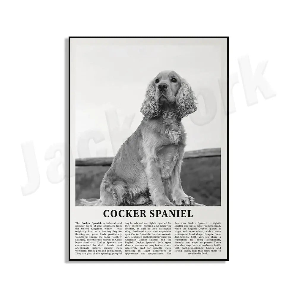 Modern black and white dog breeds poster featuring a cocker spaniel with long wavy fur for living room wall art