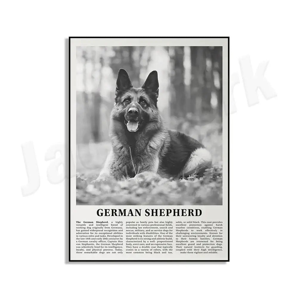 Black and white dog breeds poster featuring a german shepherd with tongue out against a forest backdrop for living room wall art