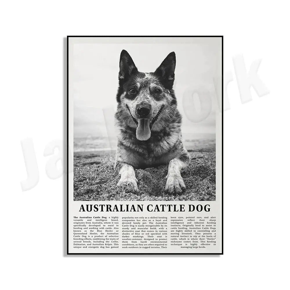 Black-and-white dog breeds poster featuring an australian cattle dog with speckled coat and pointed ears for wall art