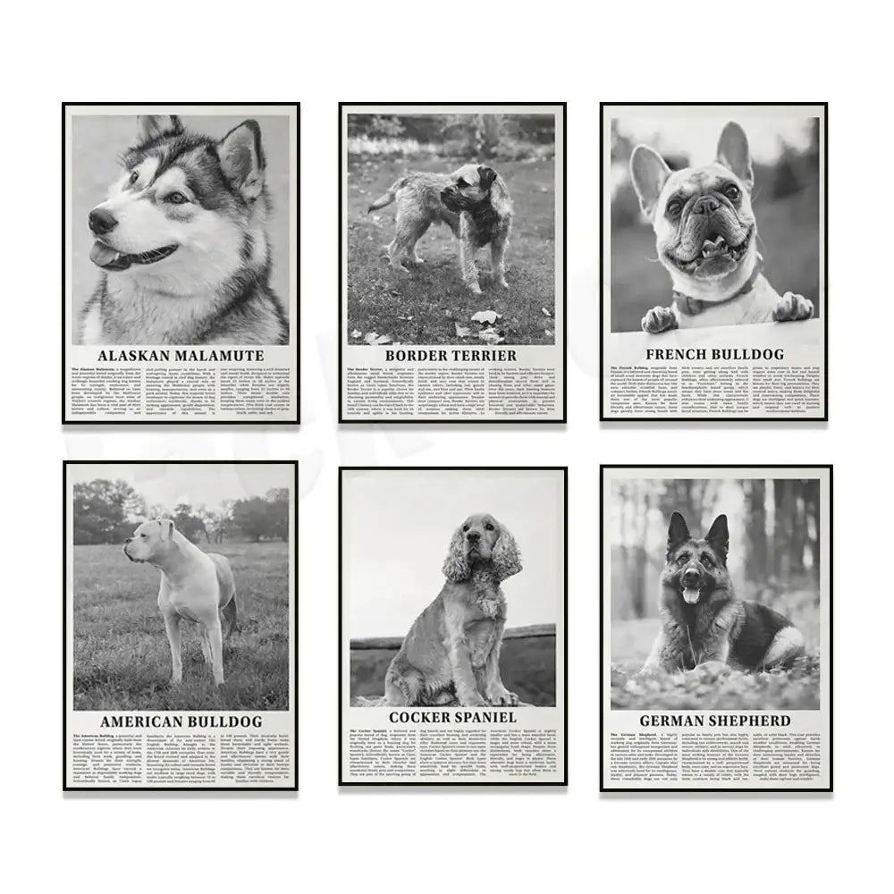Set of six framed black and white dog breeds posters featuring popular white dog breeds for living room wall art