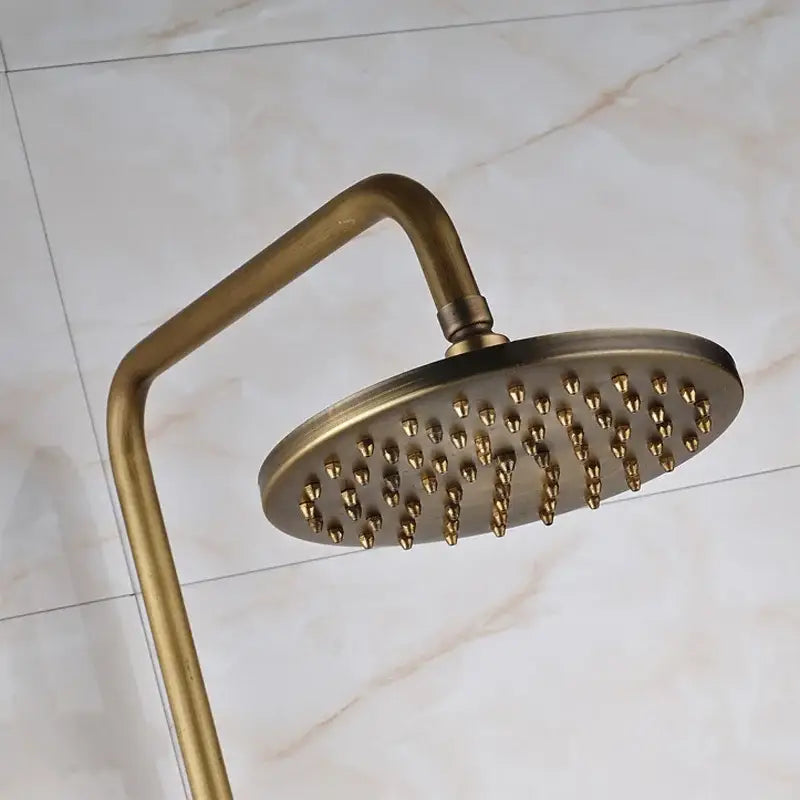Antique brass round showerhead with curved arm and multiple nozzles in a modern brass dual handle shower faucet set