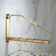 Modern brass gold wall clothing rack with multiple hanging hooks for bedroom decorbites brass gold organizer