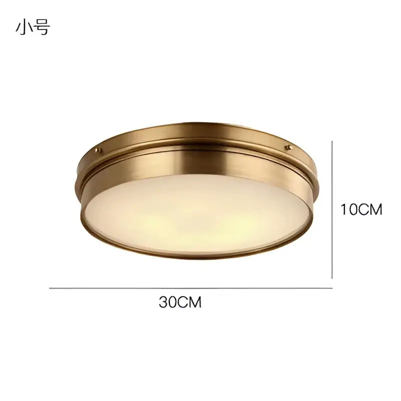 Modern brass led ceiling light with round brass finish and frosted glass diffuser for living room decorbites brass led