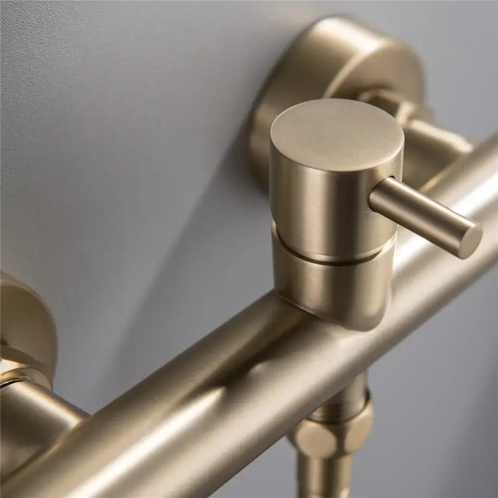 Modern brushed brass hand held bidet sprayer kit with cylindrical knob and horizontal lever faucet handle