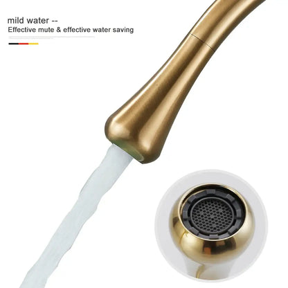 Modern brushed gold basin faucet with a sleek matte finish designed for kitchen sink use