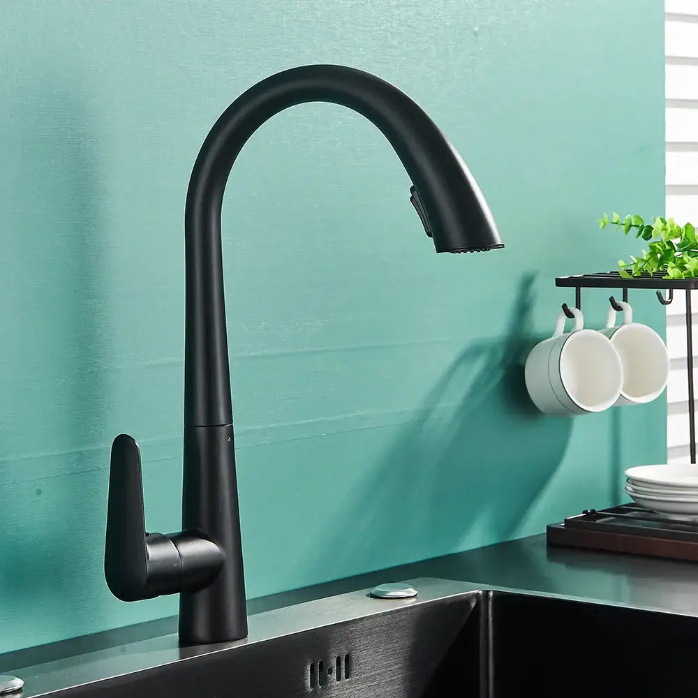 Black matte kitchen faucet with curved spout and single handle complements decorbites brushed gold gourmet design