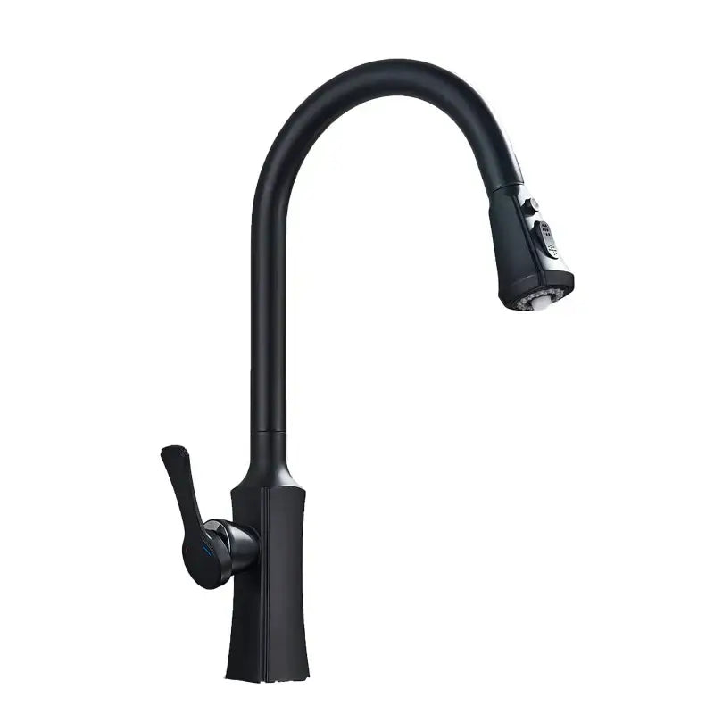 Black matte kitchen faucet with curved spout and pull-down spray head alongside decorbites brushed gold kitchen faucet