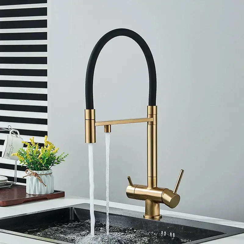 Modern chrome and black dual spout water filter faucet with gold-toned body and sleek black flexible spout dual handles