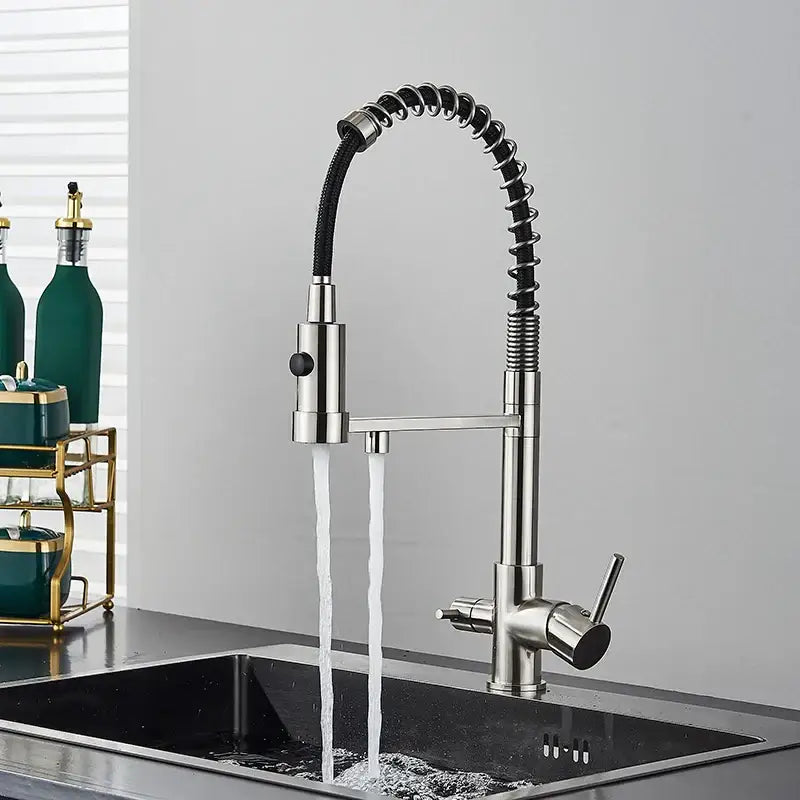 Modern chrome and black dual spout water filter faucet with stainless steel and flexible coiled hose for kitchen use