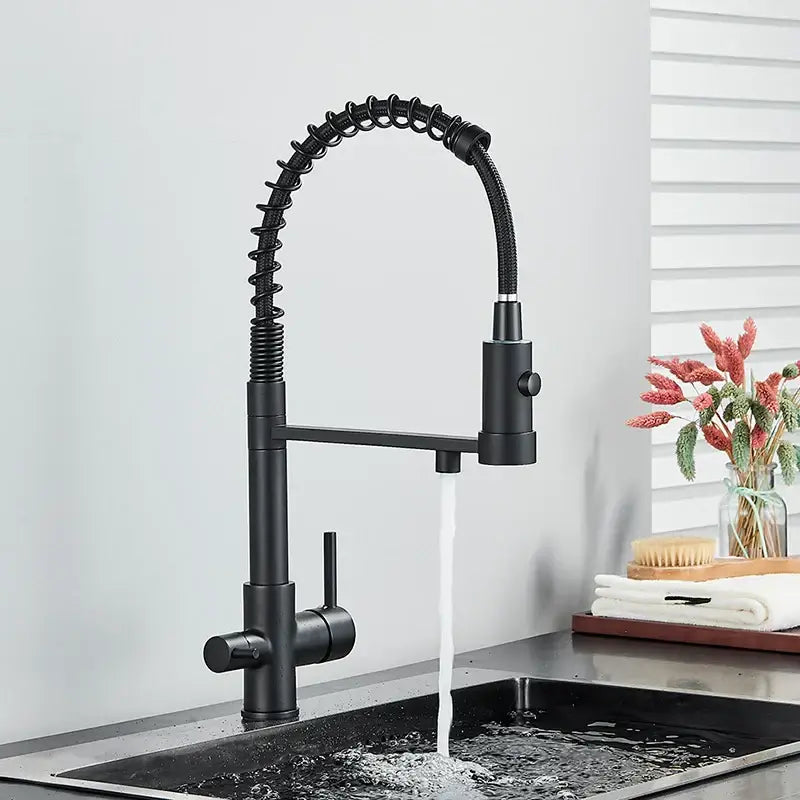 Modern chrome and black dual spout water filter faucet with black matte flexible coiled gooseneck pull-down spray head
