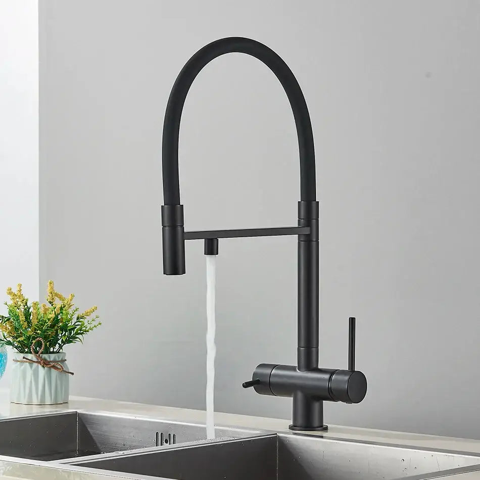 Modern chrome and black dual spout water filter faucet with black matte finish curved pull-down spout for kitchen use