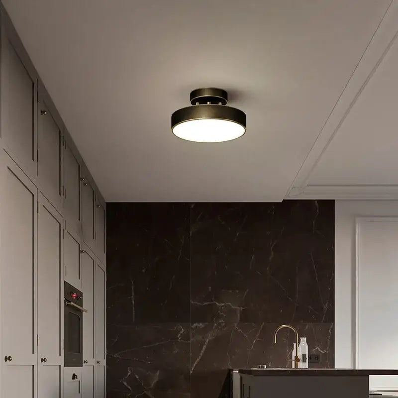 Modern black matte brass led ceiling chandelier with circular design and frosted glass diffuser for living room decorbites brass led