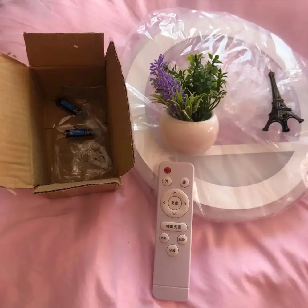 Modern circular dimmable led wall lamp in white with remote control featuring a shelf with eiffel tower decor and plant