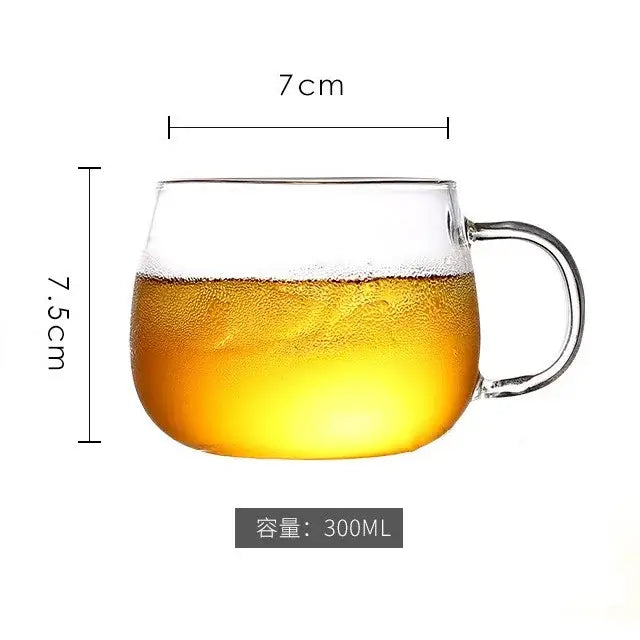 Clear glass mug filled with golden liquid alongside modern borosilicate glass pitcher with stainless steel lid