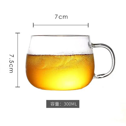 Clear glass mug filled with golden liquid alongside modern borosilicate glass pitcher with stainless steel lid